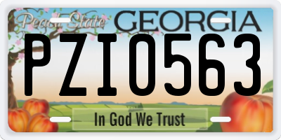 GA license plate PZI0563