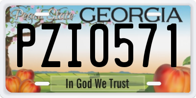 GA license plate PZI0571