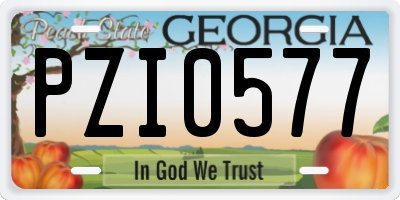 GA license plate PZI0577
