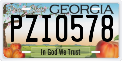 GA license plate PZI0578