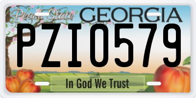 GA license plate PZI0579