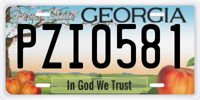 GA license plate PZI0581