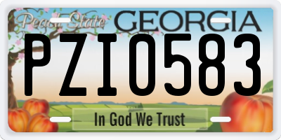 GA license plate PZI0583