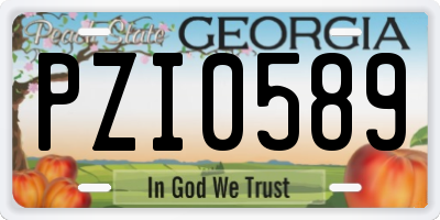 GA license plate PZI0589