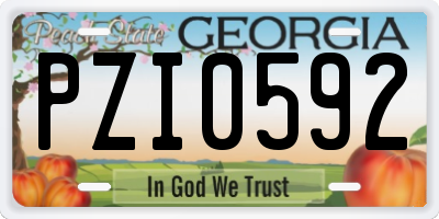 GA license plate PZI0592