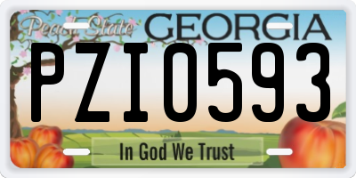 GA license plate PZI0593
