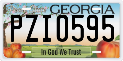 GA license plate PZI0595