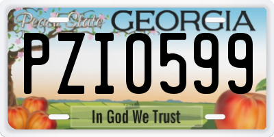 GA license plate PZI0599