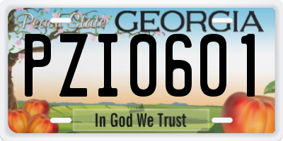 GA license plate PZI0601