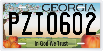 GA license plate PZI0602