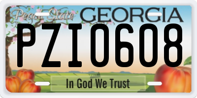 GA license plate PZI0608