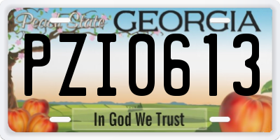 GA license plate PZI0613