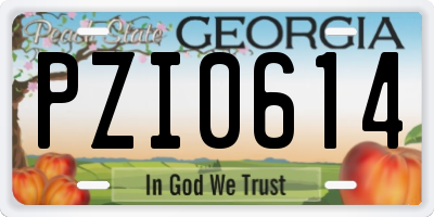 GA license plate PZI0614