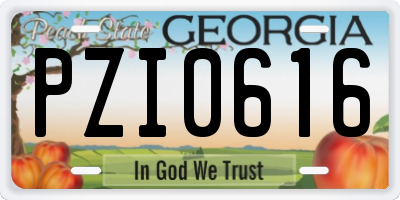 GA license plate PZI0616