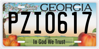GA license plate PZI0617