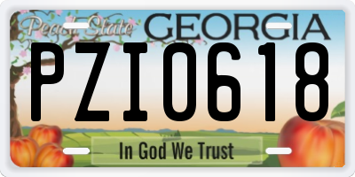 GA license plate PZI0618