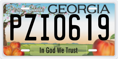 GA license plate PZI0619