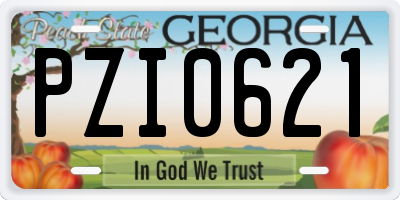 GA license plate PZI0621