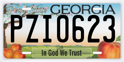 GA license plate PZI0623