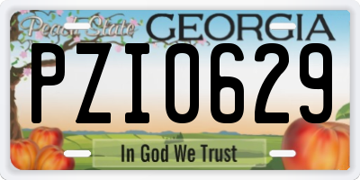 GA license plate PZI0629