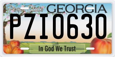 GA license plate PZI0630