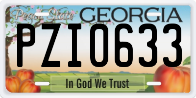 GA license plate PZI0633