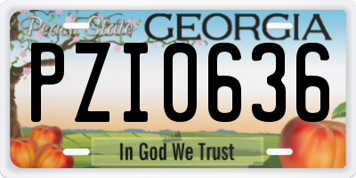 GA license plate PZI0636