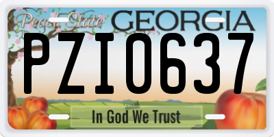 GA license plate PZI0637