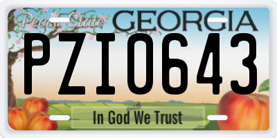 GA license plate PZI0643