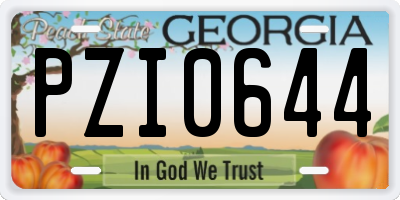 GA license plate PZI0644