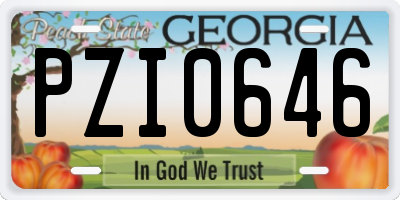 GA license plate PZI0646