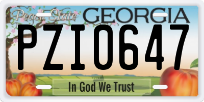 GA license plate PZI0647