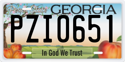 GA license plate PZI0651
