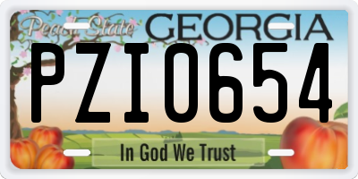 GA license plate PZI0654