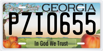 GA license plate PZI0655