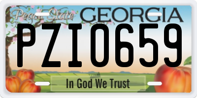 GA license plate PZI0659
