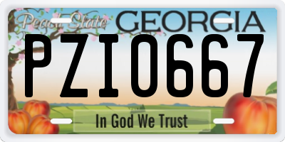 GA license plate PZI0667