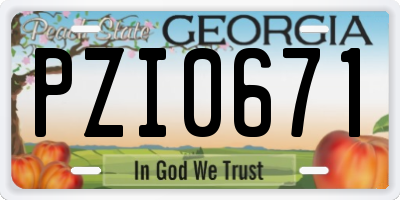 GA license plate PZI0671