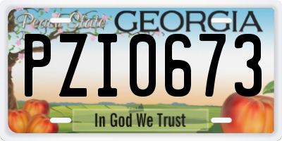 GA license plate PZI0673