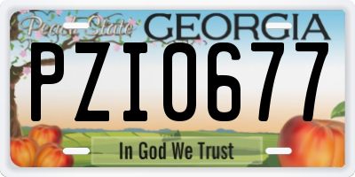 GA license plate PZI0677