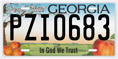 GA license plate PZI0683