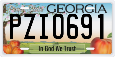 GA license plate PZI0691