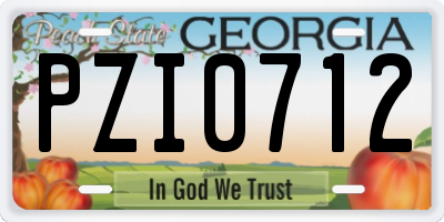 GA license plate PZI0712