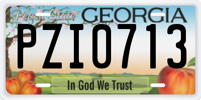 GA license plate PZI0713