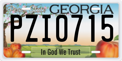 GA license plate PZI0715