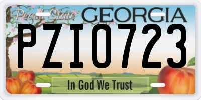 GA license plate PZI0723