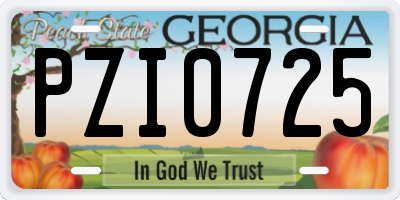 GA license plate PZI0725