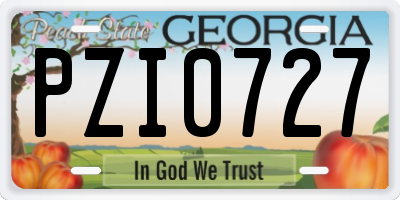GA license plate PZI0727