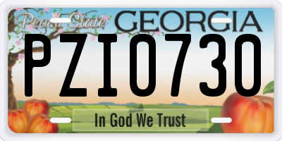 GA license plate PZI0730