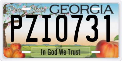 GA license plate PZI0731